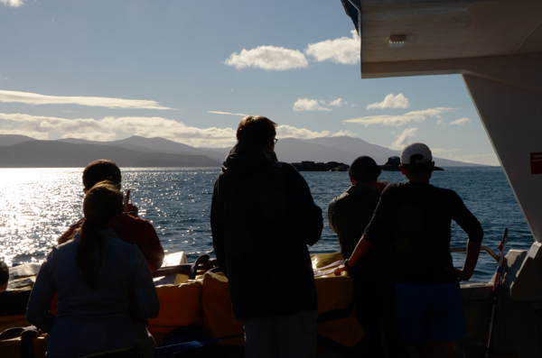 Return from Stewart Island