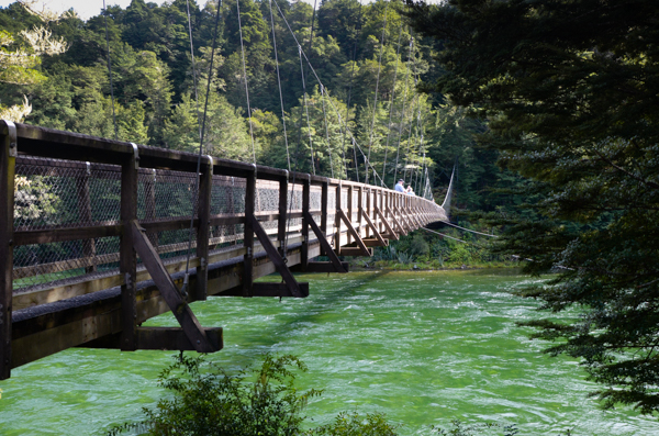 Kepler Track Bridge