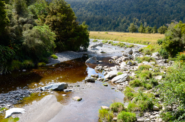 Creek at Lake Matheson