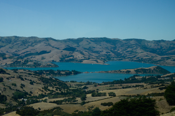 Akaroa Overlook