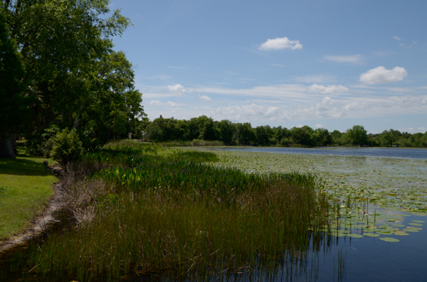 Red Bug Lake