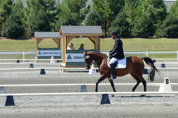 Bella's dressage exhibition