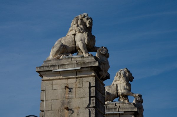 Lion Bridge, Arles