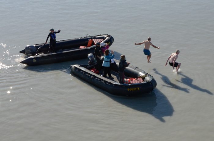 Polar Plungers