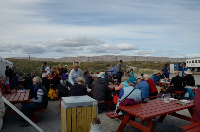 Picnicers