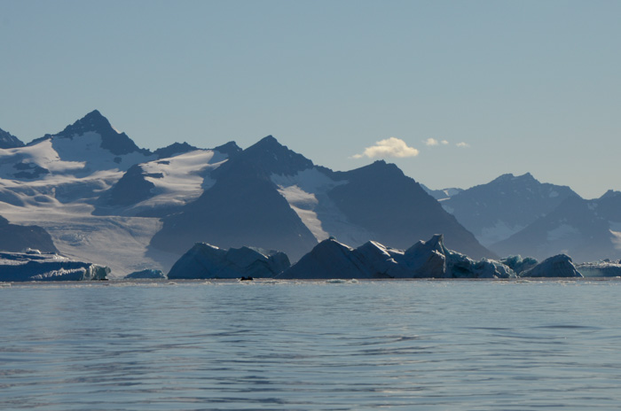 Nansen Fjord, Greenland