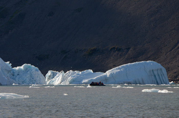 Zodiac and icebergs