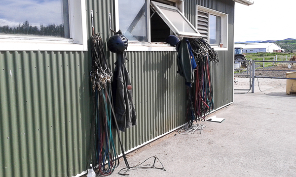 Bridles