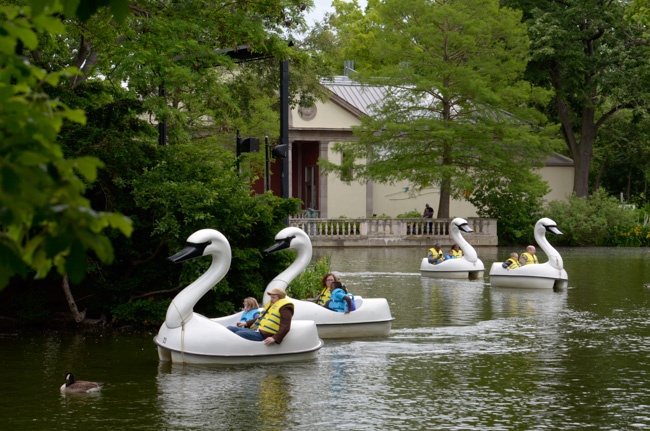 Swan boats - Philadelphia zoo