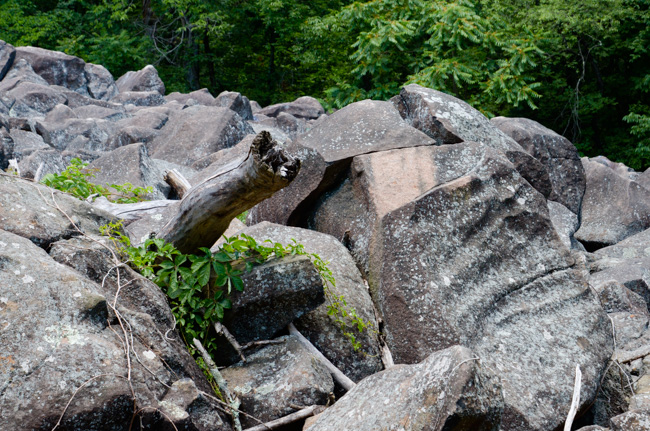 Ringing Rocks