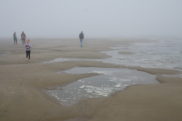 Low tide