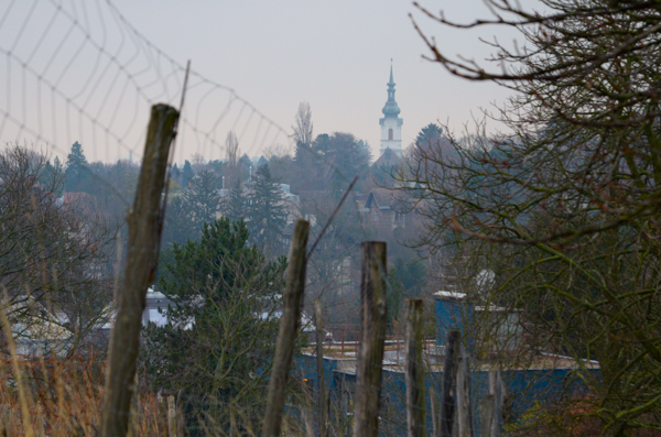 Vineyards