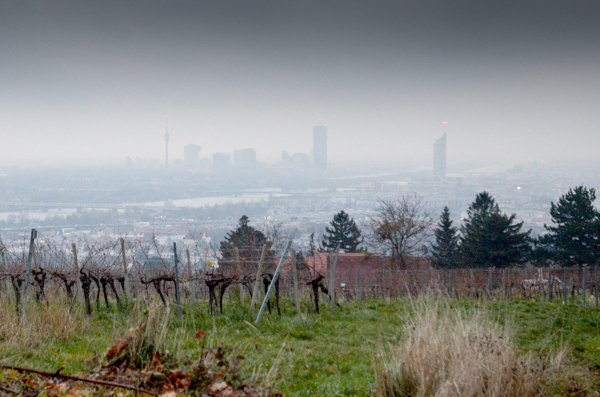 Vienna Overview