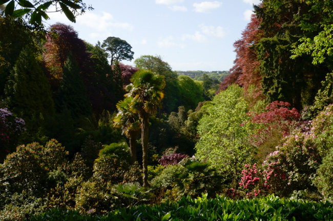 Trebah Gardens