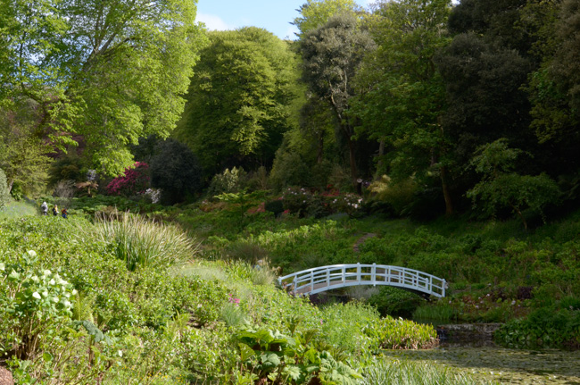 Trebah Gardens