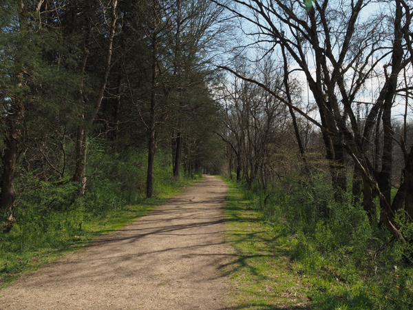 Chessie Trail