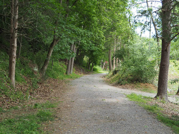 Woods Creek Trail