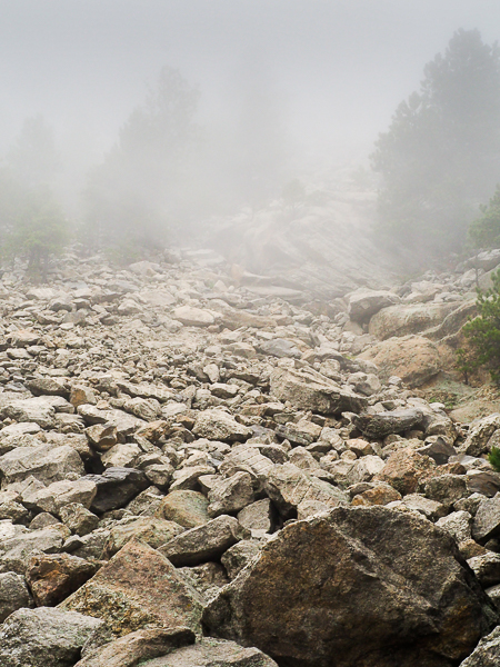 The View of Mt. Rushmore