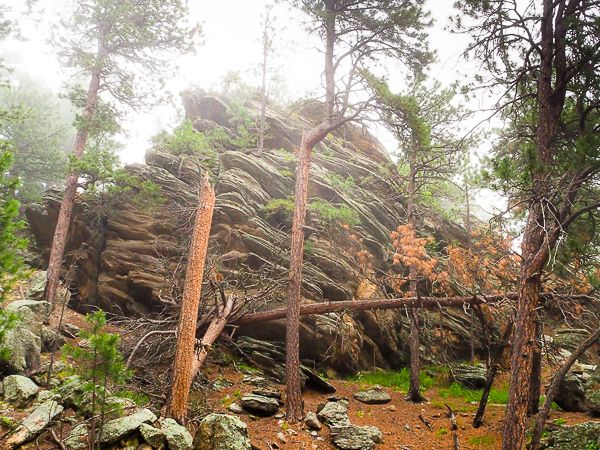 Layered rock