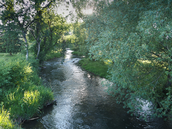 Rapid Creek