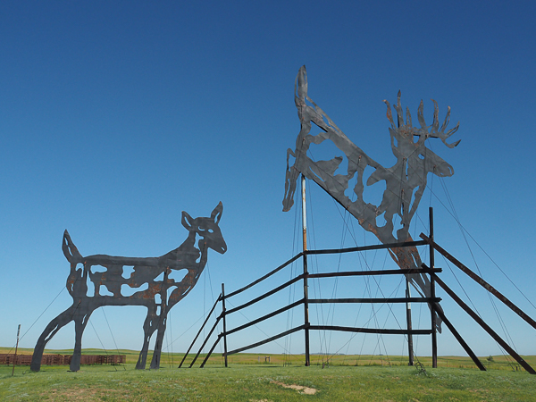 Deer Crossing