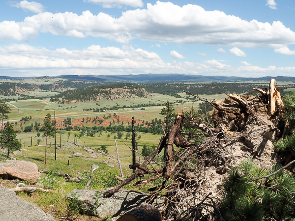 View from Devils Tower