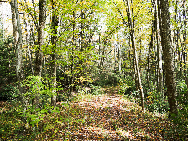 Railroad Grade Trail