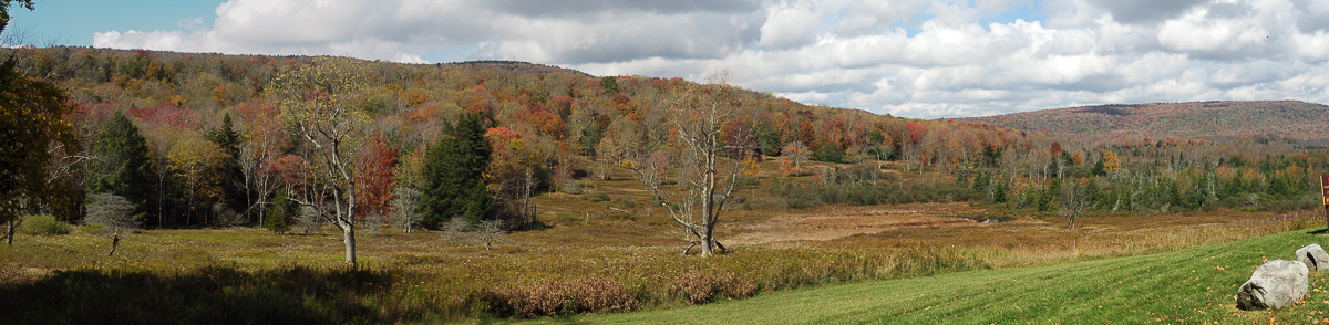 Balsam Swamp