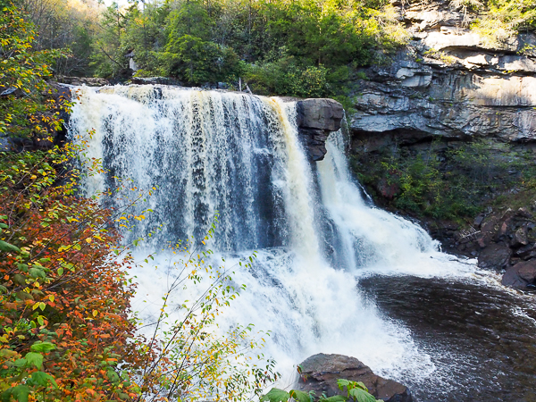 Blackwater Falls