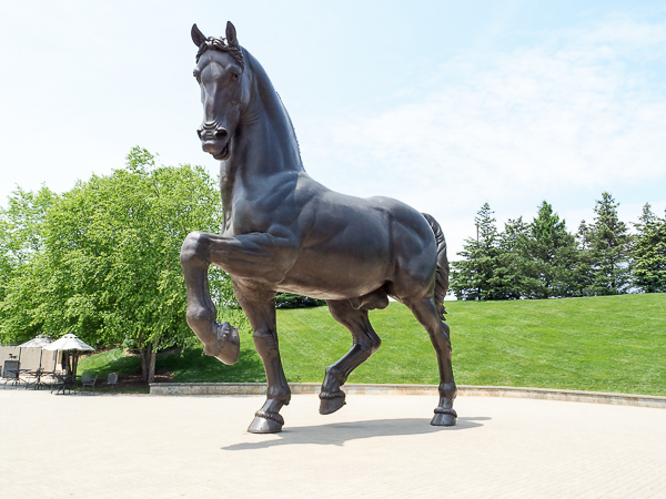American Horse