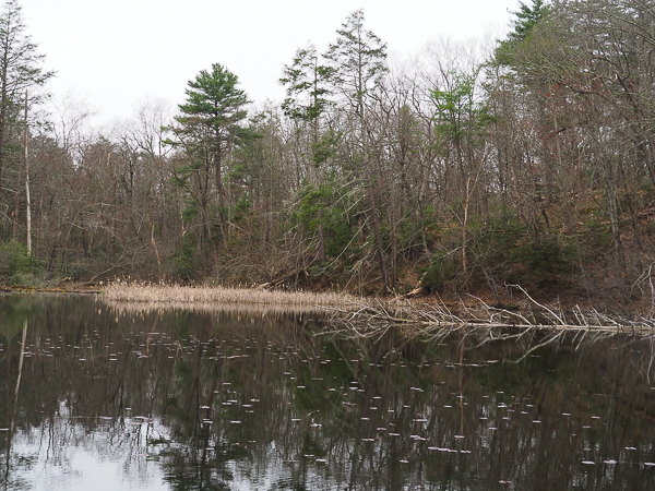 Lake Lenape