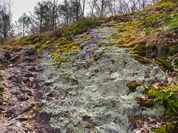 Rock scramble