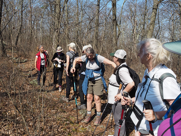 "Associate" hikers