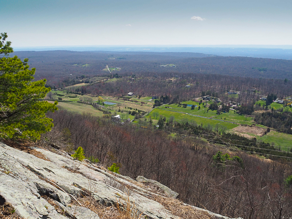 Looking toward New York