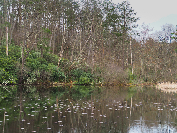 Lake Lenape