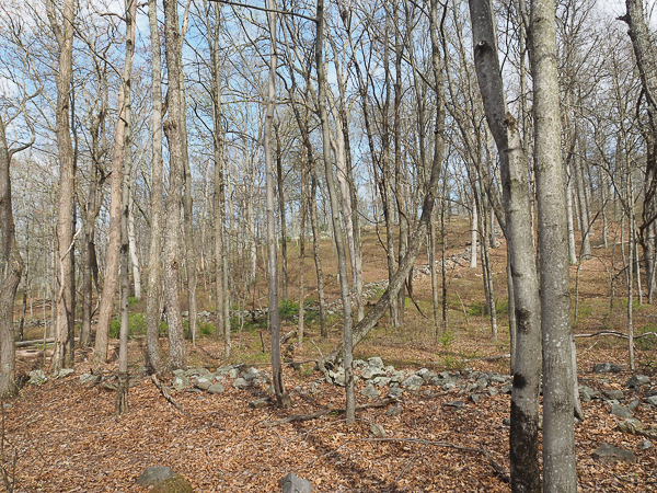 Rock walls
