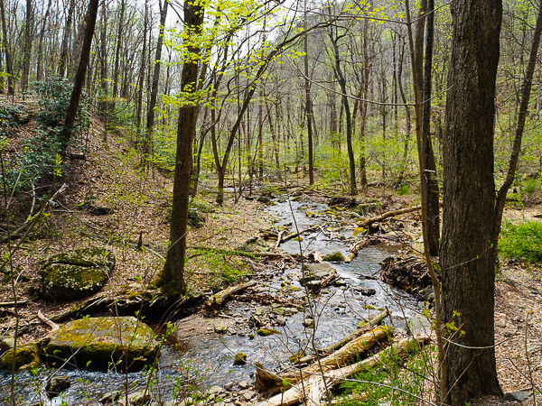 Dunnfield Creek