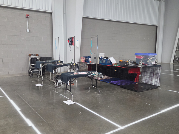 Reserved Indoor Grooming