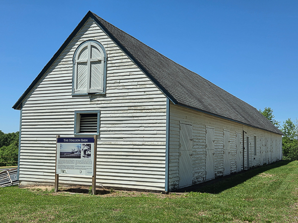 Stallion barn