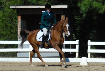 Dressage