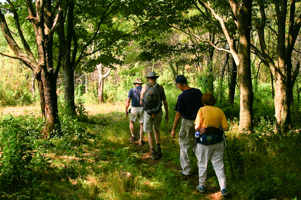 Hikers