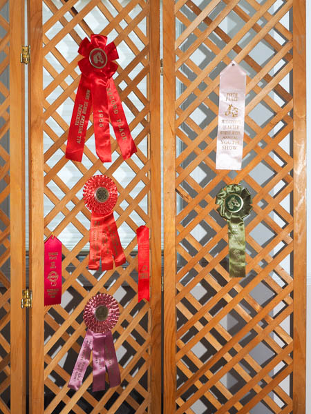 Youth ribbons